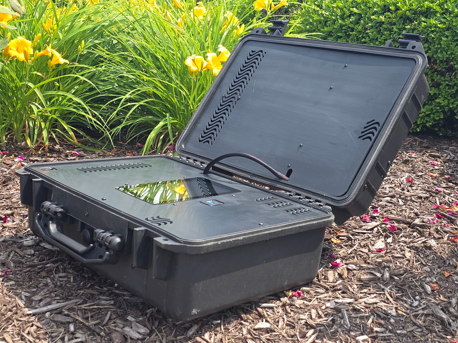 My Eden Life Rife Machine Pain Relief and Immune System Support